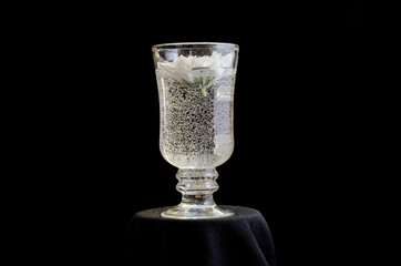white flower in glass