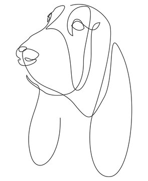 Continuous line Basset Hound. Single line minimal style dog vector illustration. Portrait.