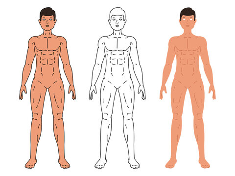 Male body vector illustration isolated on white background.