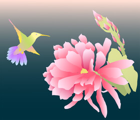Vector image of blooming cactus flower and flying hummingbird