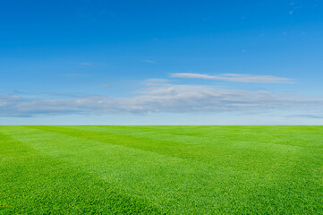 Fototapeta na wymiar Green meadow and blue sky background. Natural landscape with green grass field.