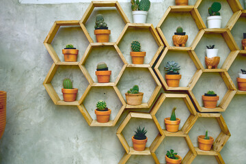 Many small cactus in terracotta pots are placed on a hexagonal wooden on the loft wall