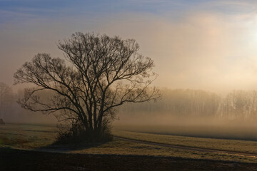 misty morning sunrise
