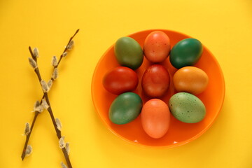 Traditional colorful easter eggs decorated with spring plant on yellow background top view