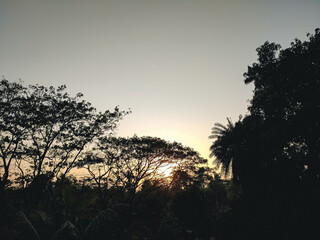 A beautiful rural north indian sunset landscape in the winter season.