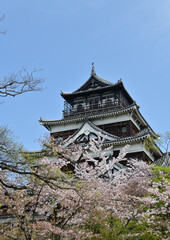 春の広島城と桜