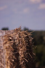 A bundle of hay in the countryside