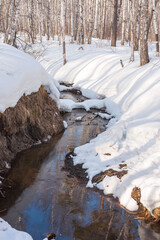 Fototapeta na wymiar River flowing out of snow in the forest in spring