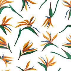 Strelitzia reginae, tropical flowers seamless pattern. Hand drawn vector illustration. Colored exotic plants ornament. Botanical design for fabric, textile, wallpaper, background, print, decor, wrap.
