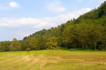 Landscape of Olona valley in September