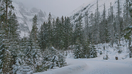 The peak of the Mnich mountain in the Polish Tatras