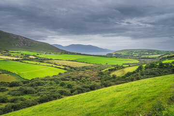 Green fields, pastures, farms and farmlands in Dingle mountains. Dramatic storm sky, Wild Atlantic Way, Kerry, Ireland