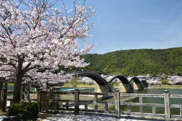 Cercles muraux Le pont Kintai Pont Kintaikyo et cerisiers en pleine floraison