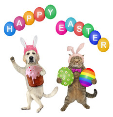 A dog labrador and a beige cat in pink bunny hats celebrate easter. Happy easter. White background. Isolated.