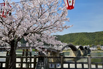 Papier Peint photo autocollant Le pont Kintai 錦帯橋と満開の桜