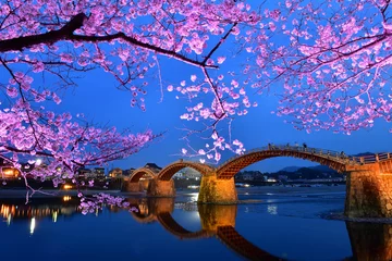 Papier Peint photo Le pont Kintai 満開の桜と錦帯橋のライトアップ