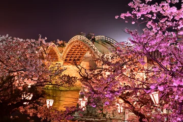 Photo sur Plexiglas Le pont Kintai 錦帯橋と桜のライトアップ