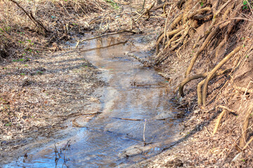 Brook in the spring forest . Flowing spring and tree roots