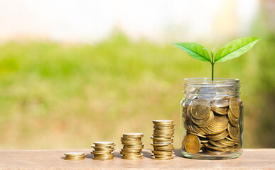 money saving and investing for business investment finance and banking concept. green plant leaves growth on row of coin stack on wood table with green blur nature background.