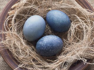Three Easter blue eggs in the nest on clay plate, painted with natural dye, close up, top view.