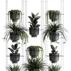ornamental plants on shelves in a black pots, vertical garden