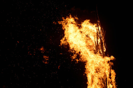 Orange colored huge flame of campfire on a black background at evening. Horizontal photography. High quality photo