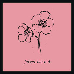 Hand drawn forget-me-not flower on pink backgroung. Inky botanial illustration.