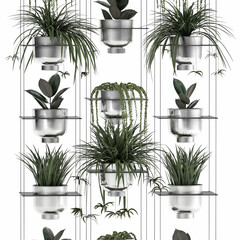 ornamental plants on shelves in a flower chrome pots, vertical garden