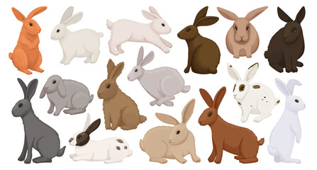 Rabbit vector cartoon icon set . Collection vector illustration bunny on white background. Isolated cartoon icon set fluffy rabbit for web design.