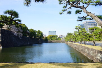 Tokyo, Japan - March 2021: Imperial palace Gaien park surrounded by skyscraper in Tokyo, Japan - 皇居 外苑 松の木と都市風景 東京