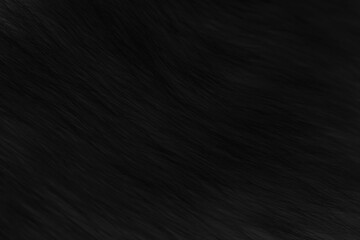 Fototapeta premium Black cat fur texture background. 
