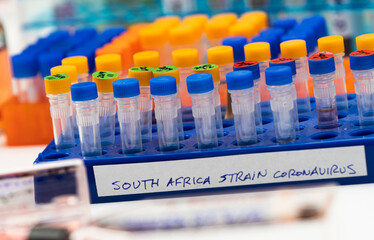 Several covid-19 positive research vials of the new south africa strain in a laboratory, conceptual image.