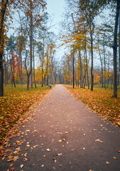 Obraz premium Alley in the autumn park with colorful trees.