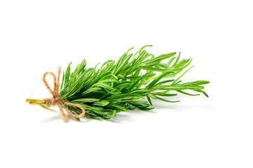 Branch of fresh rosemary isolated on white background. herb concept