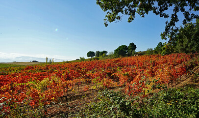 Jakobsweg Oktober 2020, Bierzo, Spanien