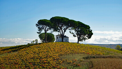 Jakobsweg Oktober 2020, Bierzo, Spanien