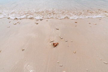 Crashing wave and coral on the beach in Phayam island, Ranong, Thailand.