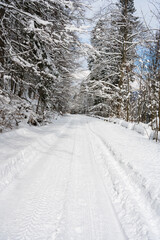 Snow covered mountain road in the forest