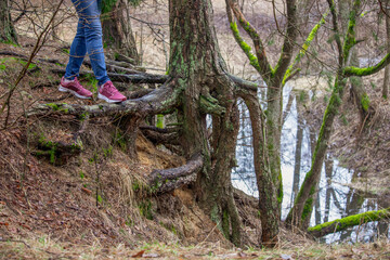 Autumn journey through autumn Europe. The high bank of a wild forest river with exposed tree roots.