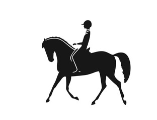 Horse and rider fine vector silhouette against white