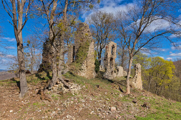 Burgruine Stecklenburg bei Stecklenberg im Harz