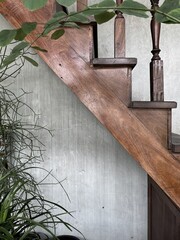 Indoor plants decoration. Old wooden stairs with fresh green plants decorate in home cafe