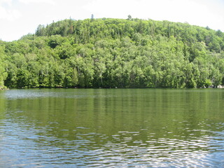 lake in the forest