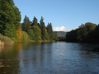 summer lake in forest
