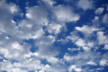 White clouds float in the blue sky.