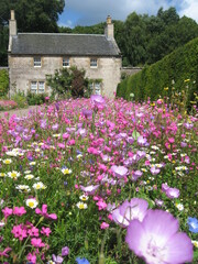 old stone house with flowers in the meadow