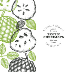 Hand drawn sketch style cherimoya banner. Organic fresh fruit vector illustration. Engraved style botanical design template.