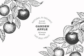 Apple branch design template. Hand drawn vector garden fruit illustration. Engraved style fruit retro botanical banner.