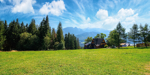 zakopane rural landscape in tatra mountains. spruce trees on the green grassy meadow of gubalowka range. beautiful nature scenery on a sunny day. clouds above the distant ridge