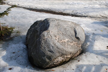 Large boulder stone on the ground surrounded by snow. On the ground lies a large gray granite stone with brown veins. There is white snow around the stone, which begins to melt. © Andrew_Swarga
